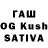 Галлюциногенные грибы Cubensis KOLYA CHASTUKHIN