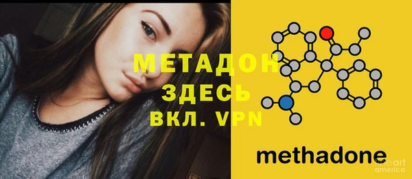 стафф Касимов