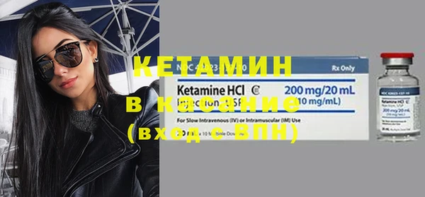 стафф Касимов