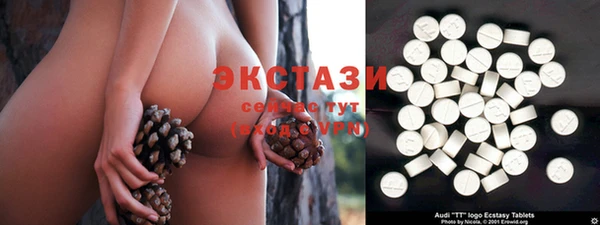 стафф Касимов