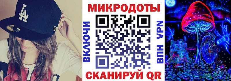 Купить закладки  Курлово  Псилоцибиновые грибы мицелий 